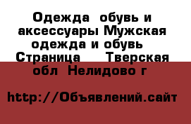 Одежда, обувь и аксессуары Мужская одежда и обувь - Страница 6 . Тверская обл.,Нелидово г.